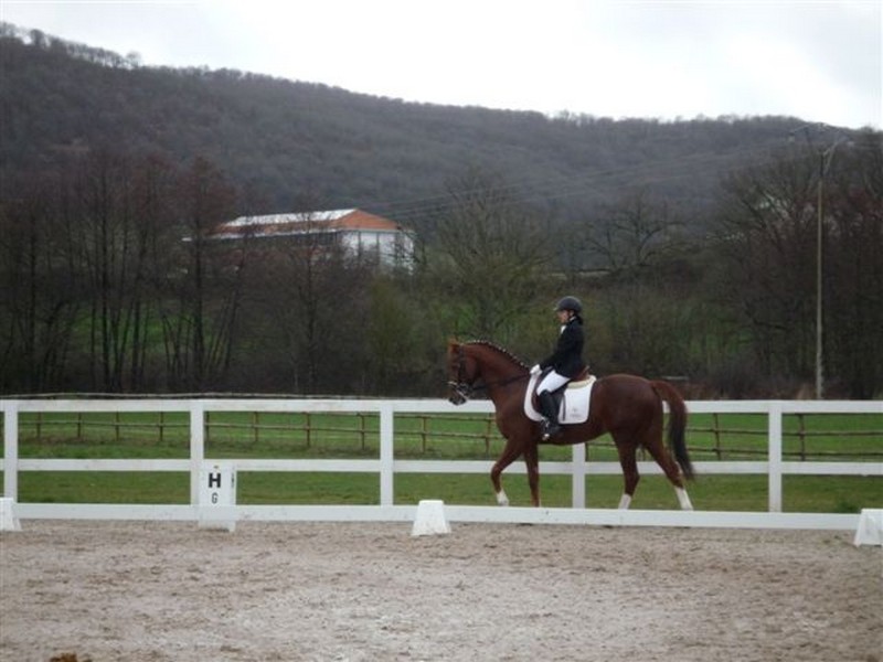 1ª Fase de la Liga de Doma. Zenotz.